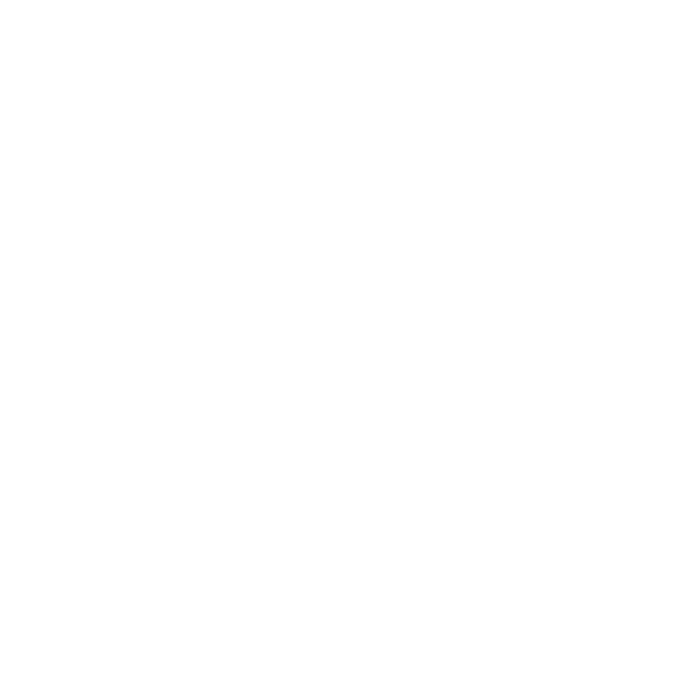 Logo blanc (PNG)